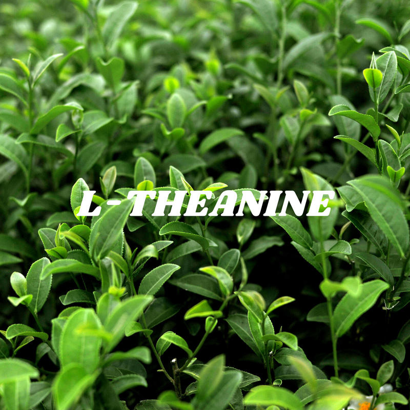 L-Theanine